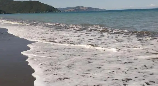 Rarangi Seaview On The Beach, Забронировать Отель Отели Анакива с парковкой, Парковка