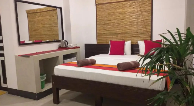 Двухместный номер Deluxe с видом на бассейн Green Wood Villa Negombo