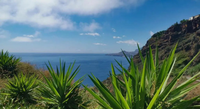 Коттедж Casa do Beiral by Madeira Sun Travel