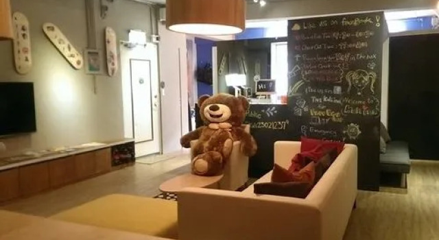 Kali Inn Hostel, Prenota Ostello Ostelli a Taybey, Ostello