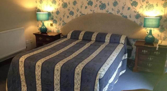 Двухместный номер Standard Ty Newydd Country Hotel