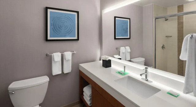 Номер с видом на горы Hyatt Place Denver Cherry Creek
