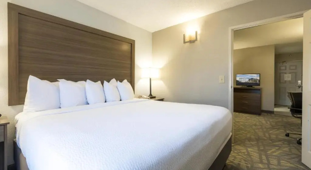 Двухместный люкс c 1 комнатой La Quinta Inn & Suites by Wyndham Downtown Asheville