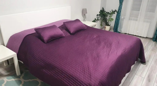 Апартаменты Apartament w centrum 2