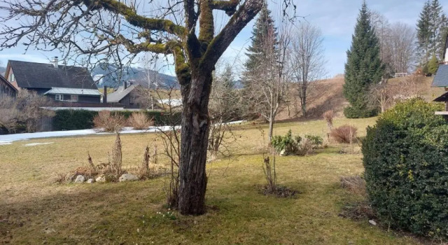 Ferienwohnung Salzafeld, Prenota Casa vacanze Ville a Stiria, Villa