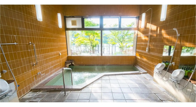 Forest Resort Sarugakyo Seikoso, Prenota Resort Hotel resort a Gunma, Resort