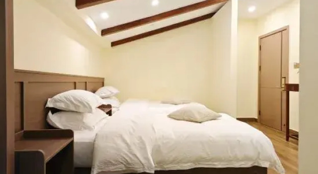 Люкс Linyun Shanju Hotel