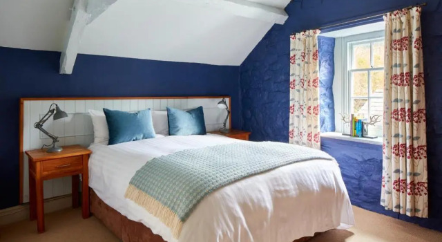 Номер Standard Y Meirionnydd Boutique Hotel