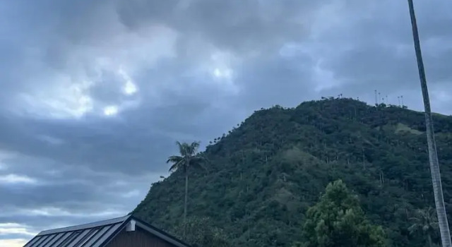 Номер Deluxe Bosques de Cocora Donde Juan B