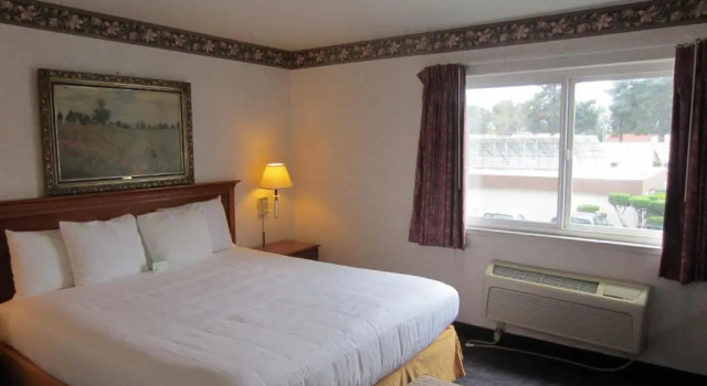 Run of House Cherry Orchard Inn