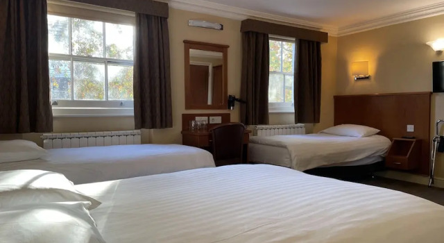 Четырёхместный номер Standard Orchard Hotel