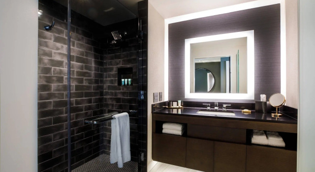 Четырёхместный номер Deluxe Hotel Vin, Grapevine, Autograph Collection