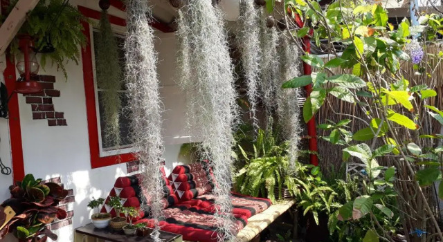 Двухместный номер Standard ThaiMex Cafe & Homestay