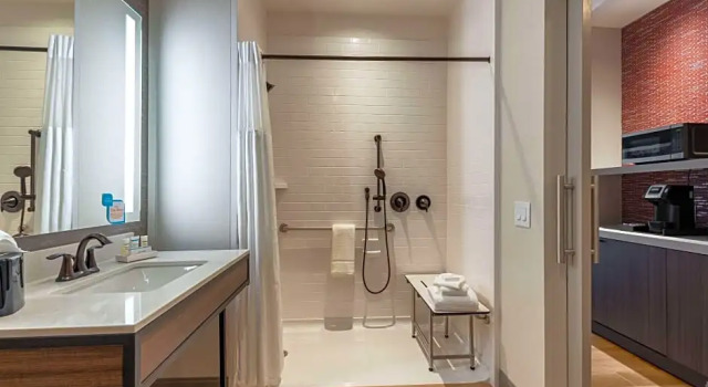 Двухместный номер Mobility Accessible with Roll-In Shower Canopy By Hilton Chicago Central Loop