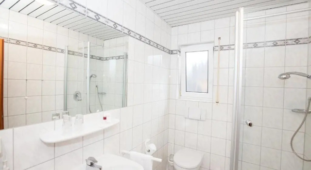 Номер Comfort Metzgerei Moselgasthof Andries