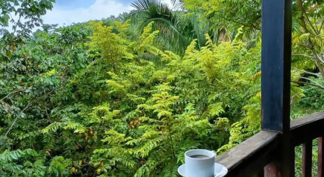 Номер Superior с балконом Hotel Nature Lodge Finca los Caballos