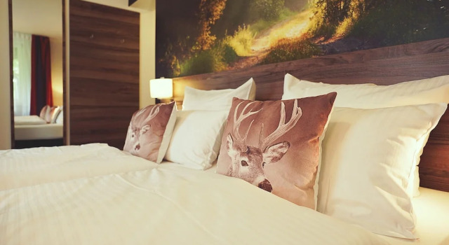 Двухместный номер Comfort с видом на горы Hotel Mein Bergblick