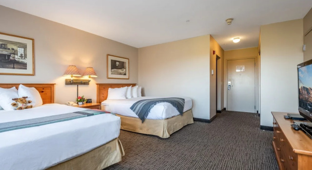 Четырёхместный номер Standard Jordan Hotel