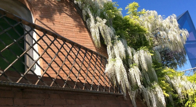 Il Podere Degli Ulivi, Rezervovat Hotel  