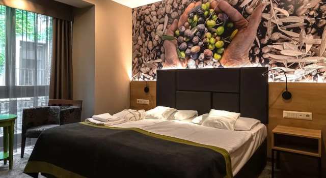 Двухместный номер Deluxe с видом на сад Oliva Hotel