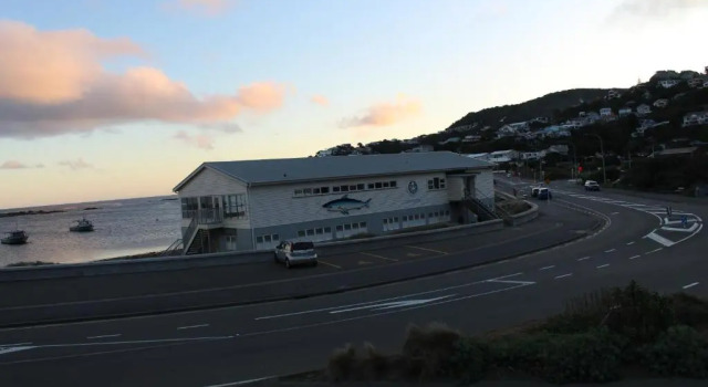 Студия с видом на море Modern & cosy studio unit on Island Bay beachfront