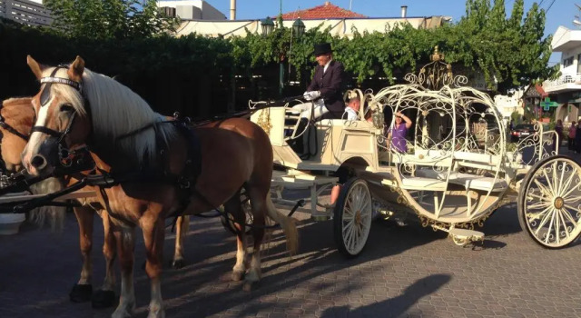 Апартаменты Arion Stables & Apartments