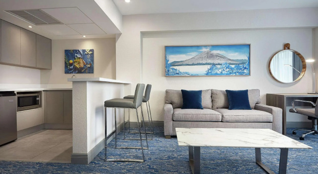 Люкс DoubleTree by Hilton Managua