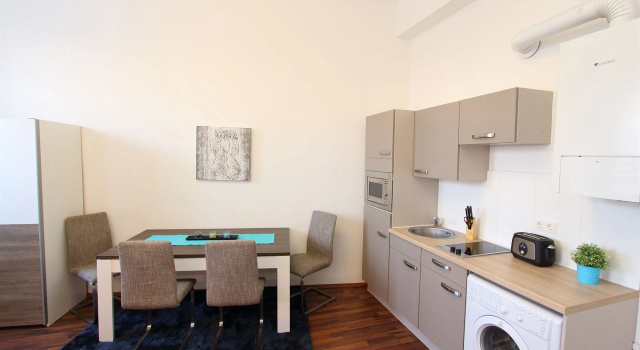 CheckVienna – Apartment Roßauer Lände