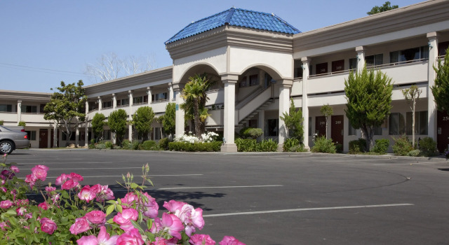 Best Western Plus Black Oak