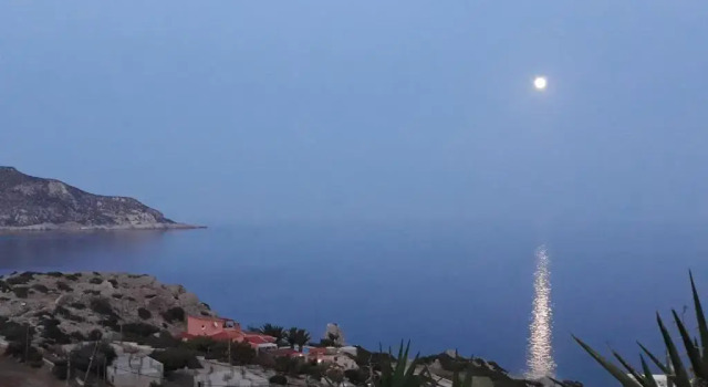 Студия Olympos Studios