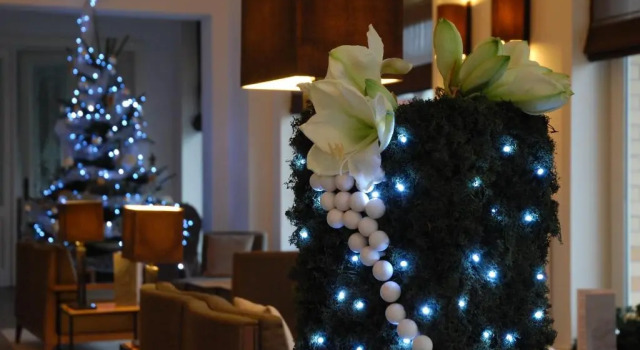 Grand Hotel Belle Vue, Buchen Sie Hotel Hotels in Flanders mit Frühstück, Frühstück