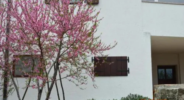 House of Veli Joze