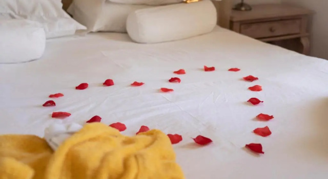 Двухместный номер Standard Hotel Dom Vasco