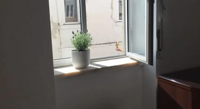 Апартаменты Classic 2 Bedroom Self Contained Apartment