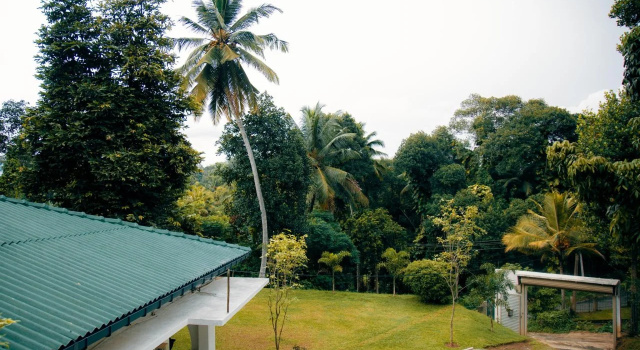 Thomasz Lodge