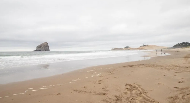 Whale's Tail Cottage, Prenota Casa vacanze Cottage a Oregon, Cottage