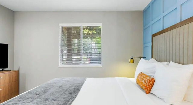 Modern Urban Oasis in Prime Buckhead Atlanta, Забронировать Апартаменты/квартира Апартаменты Атланта, рядом с Our Gallery, Апартаменты/квартира