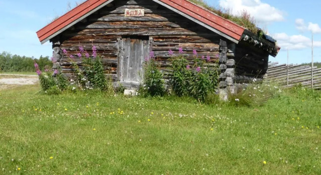 Vestre Sorken Feriegard, Reserva ahora Hotel Drevsjø Hedmark