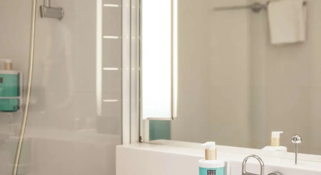 Двухместный номер Classic Hotel Novotel Evry Courcouronnes