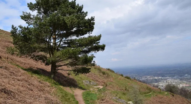 The Hideaway, Забронировать Дом для отпуска Малверн Malvern Hills