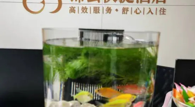 Hohhot Jinyun Express Hotel (Kuangxiangzi Food Street Affiliated Hospital), Prenota Hotel Hohhot Inner Mongolia