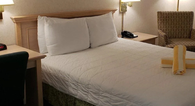 L3 Oasis Hotel, Забронировать Отель Палм-Спрингс Coachella Valley, рядом с Loehmanns Plaza Shopping Center