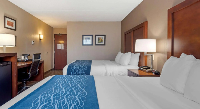 Четырёхместный номер Standard Comfort Inn University