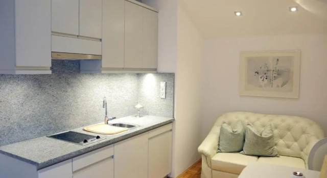 Апартаменты c 1 комнатой ApartHotel Vila Minka