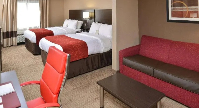 Одноместный номер Standard Comfort Suites Columbus
