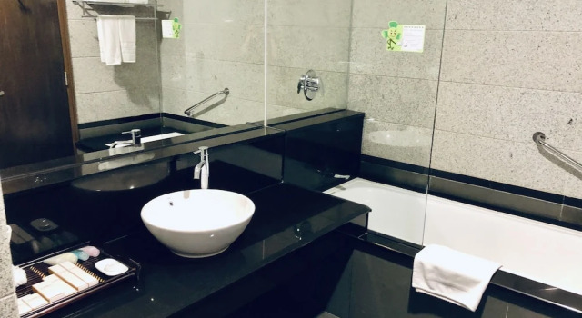 Номер Deluxe с видом на город AURORA Hotel Plaza