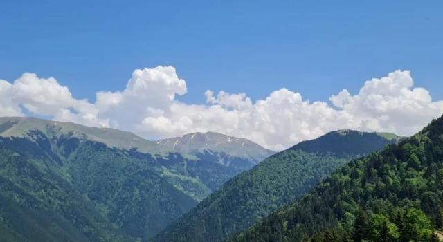 Четырёхместный номер Standard с видом на озеро Uzungol Yesil Kosk Hotel