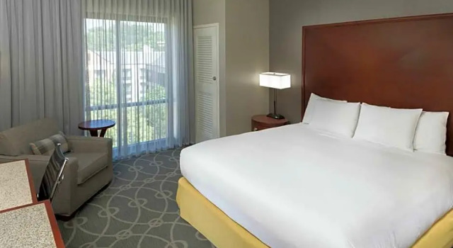 Номер Accessible Premium DoubleTree by Hilton Biltmore/Asheville