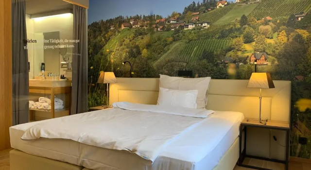 Двухместный номер Standard Hotel Stainzerhof
