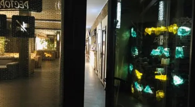 SPA Hotel Zhyva Voda, Book Hotel Mezhgorye Transcarpathia